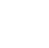 20 Year